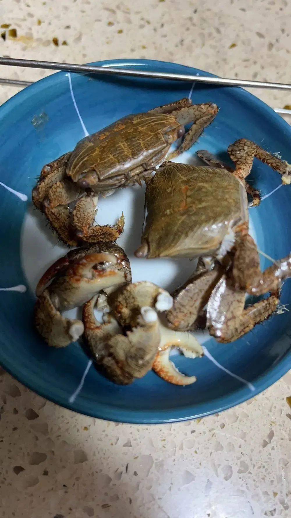 从他上传的图片看这种螃蟹体型较小,壳呈墨绿色壳上和腿部有黑色花纹