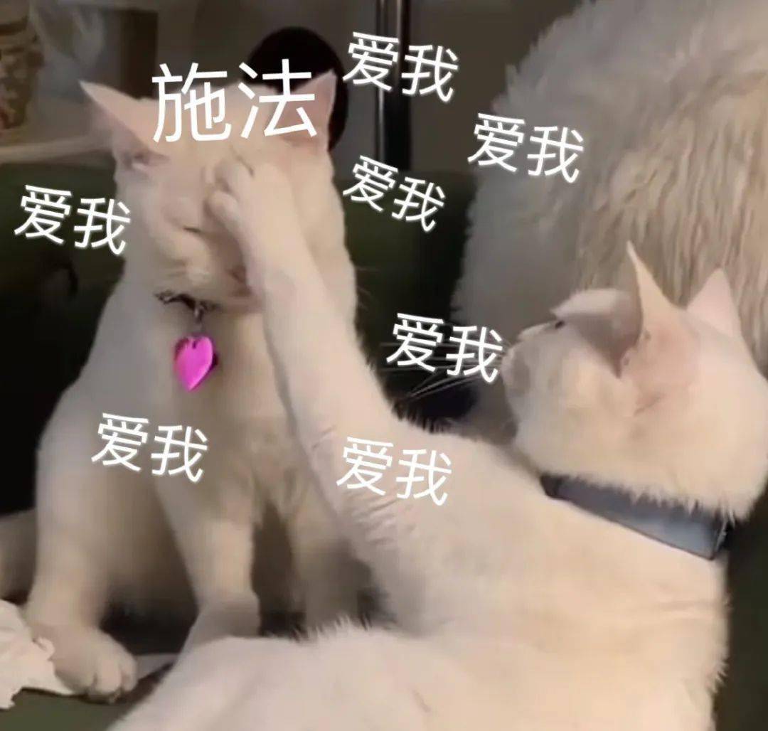 搞笑斗图表情包I 睁一只眼闭一只眼_搜狐网, image size:1080x1028