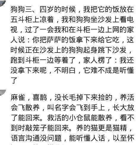 我爸一喝醒就抱着狗子聊人生，时间久了狗子一闻到酒味，就藏在床底下