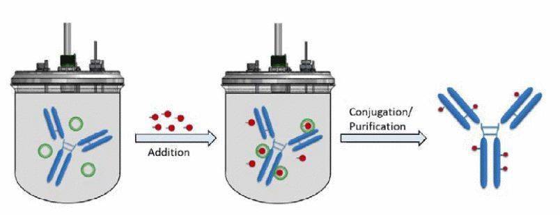 “魔法枪弹”ADC | 全主动反响器助力ADC药物偶联工艺优化