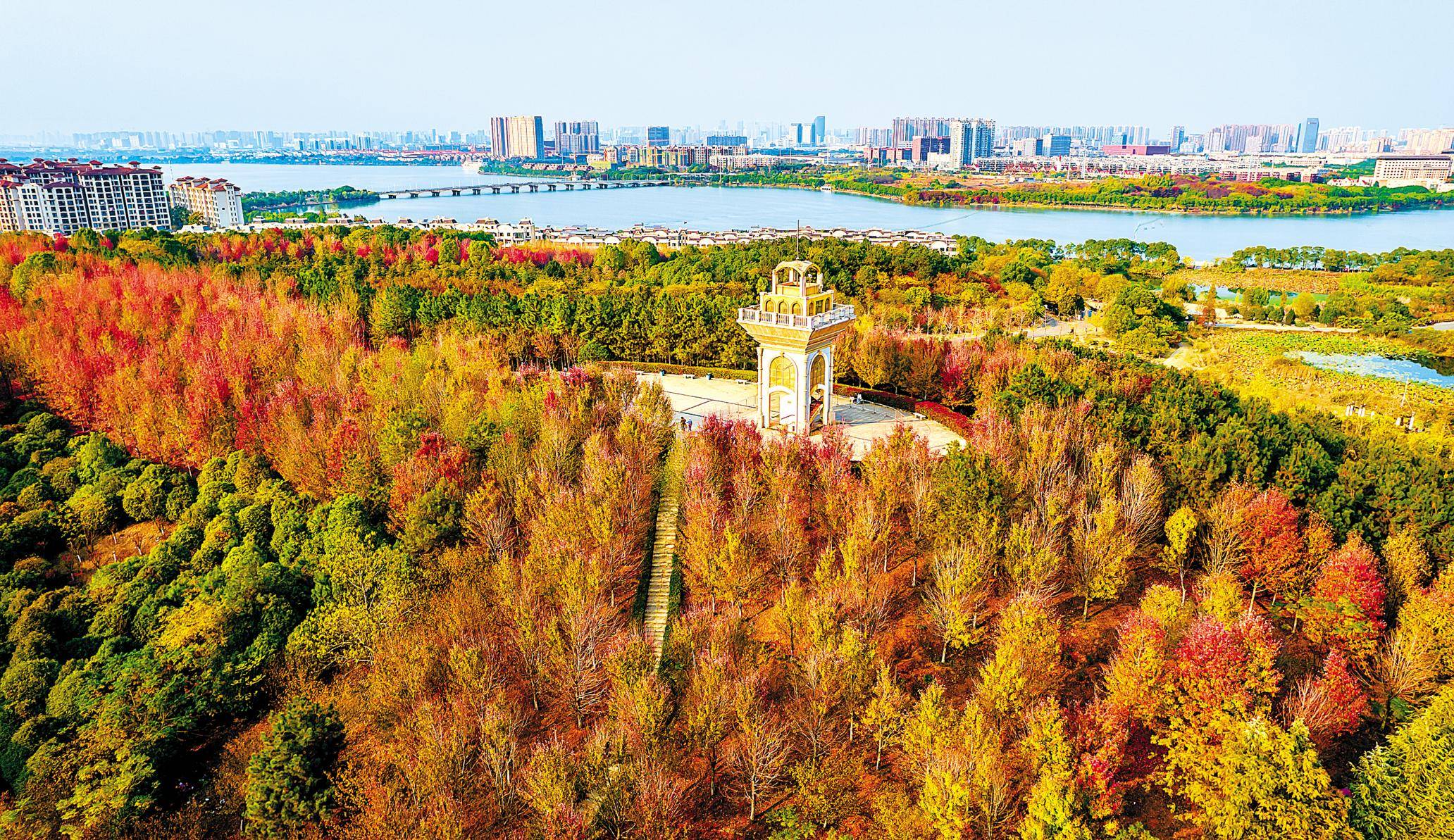 藏龙岛湿地公园 披彩衣_武汉_国家_在线