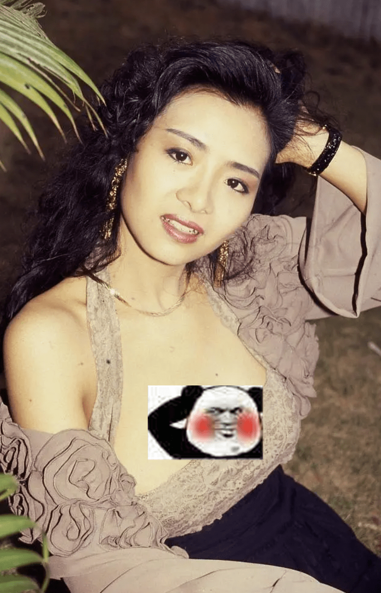 叶楠_工作_杂志