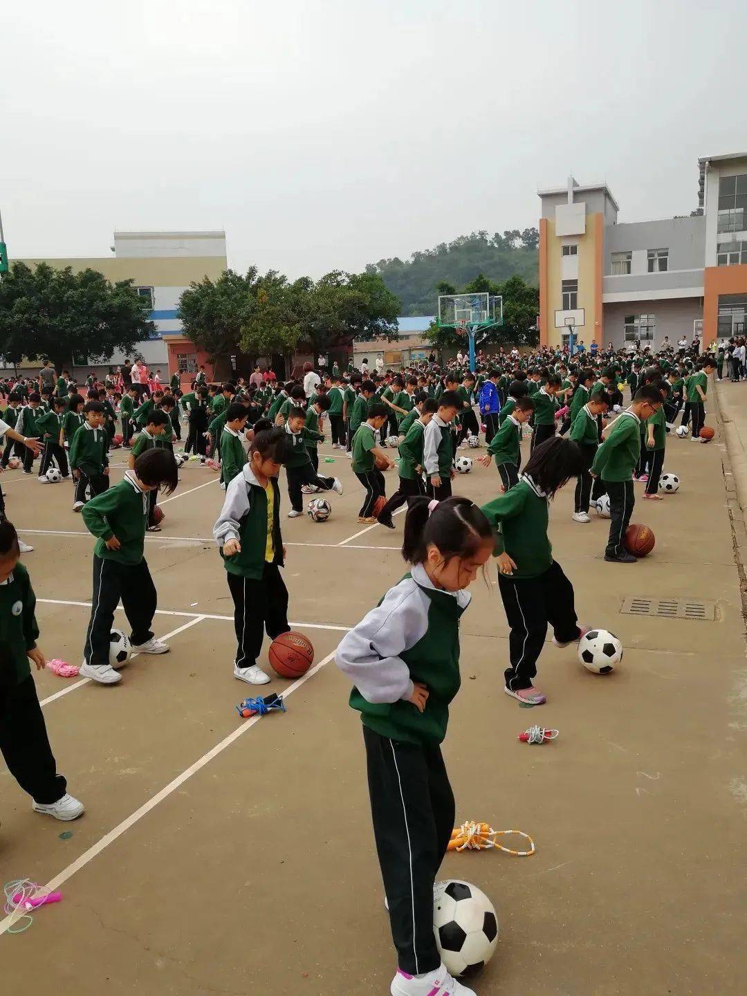 神湾中心小学图片