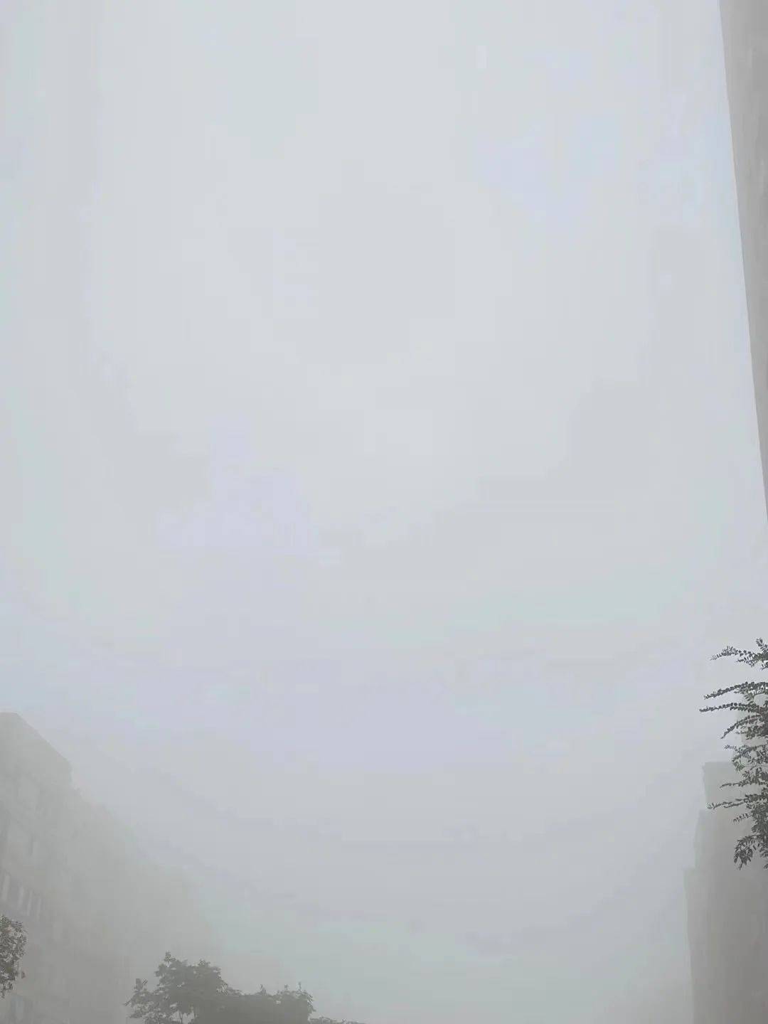 特强浓雾!徐州人明早出行注意!_影响_能见度_地区