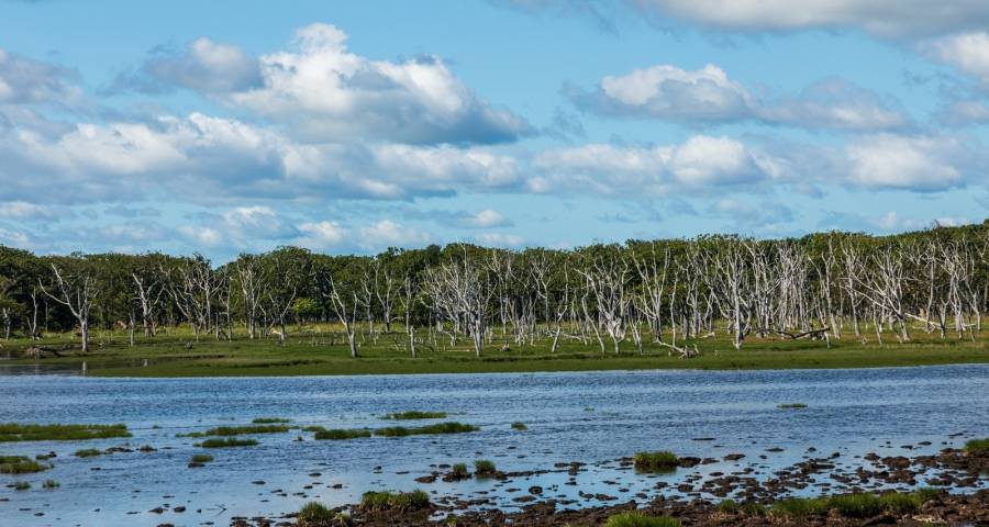 2023年彩电企业的生命线敲定了-家电圈官网