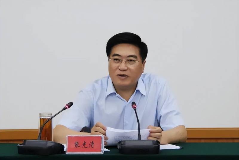 武汉退休副市长主动投案,曾受处分,参加电视问政被媒体批评