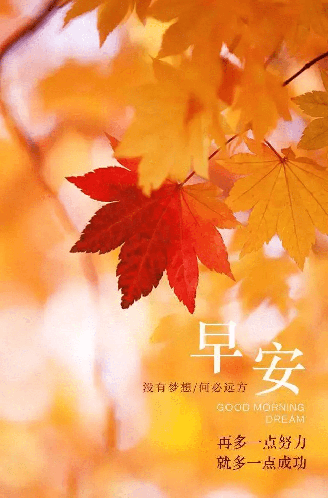 引流微信是做什么的_引流微信是什么意思_最简单的往微信引流