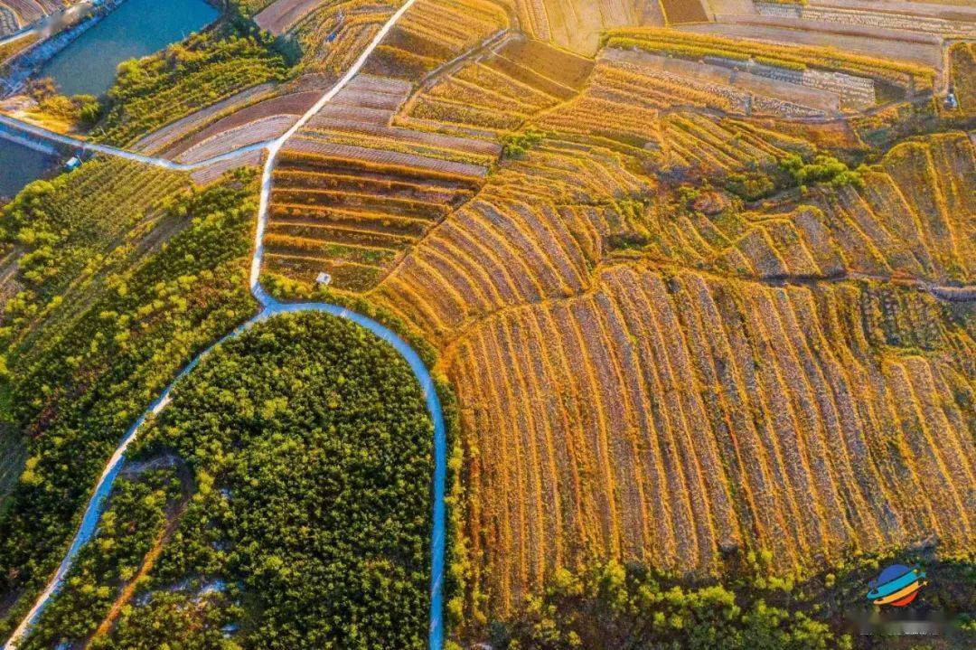 有一种幸福，叫我在莱西！