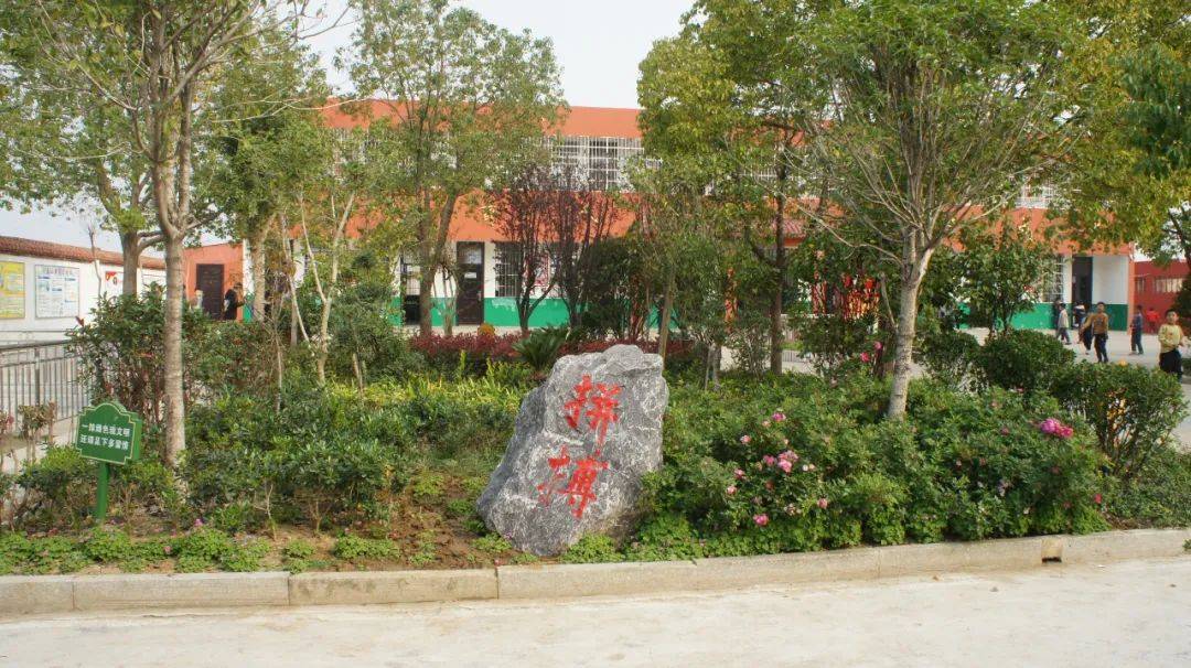 花儿朵朵相映红 ——邓州市彭桥镇推进义务教育优质均衡发展工作侧记