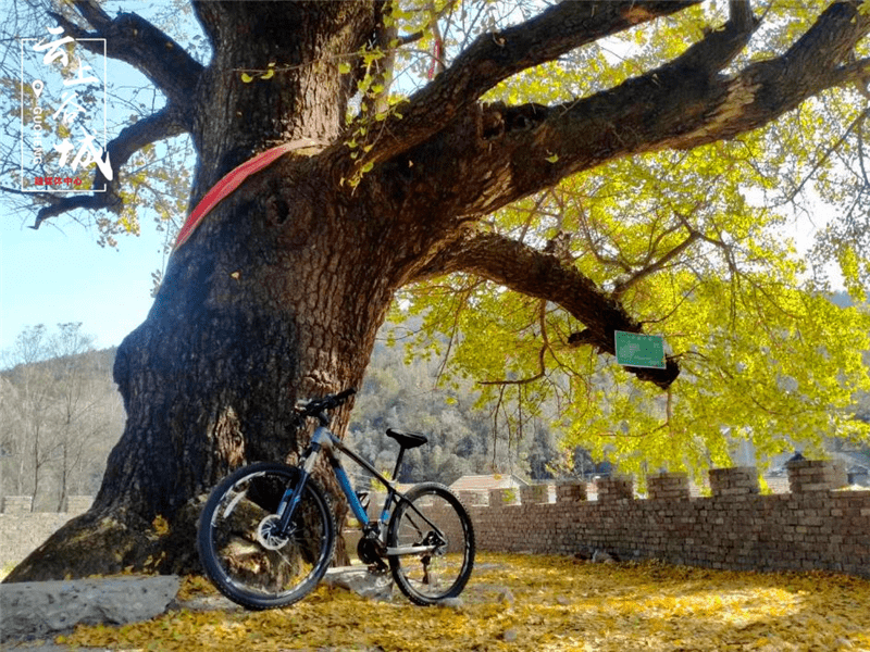 谷城茨河风景区图片