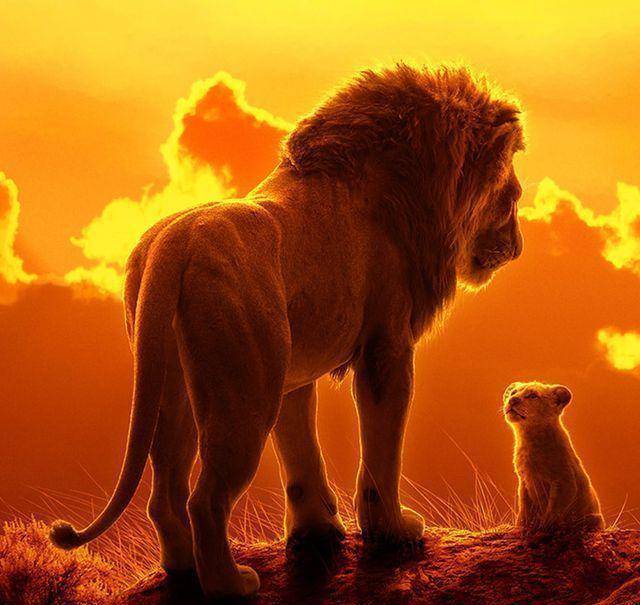 《狮子王》木法沙传承给辛巴的人生智慧语录