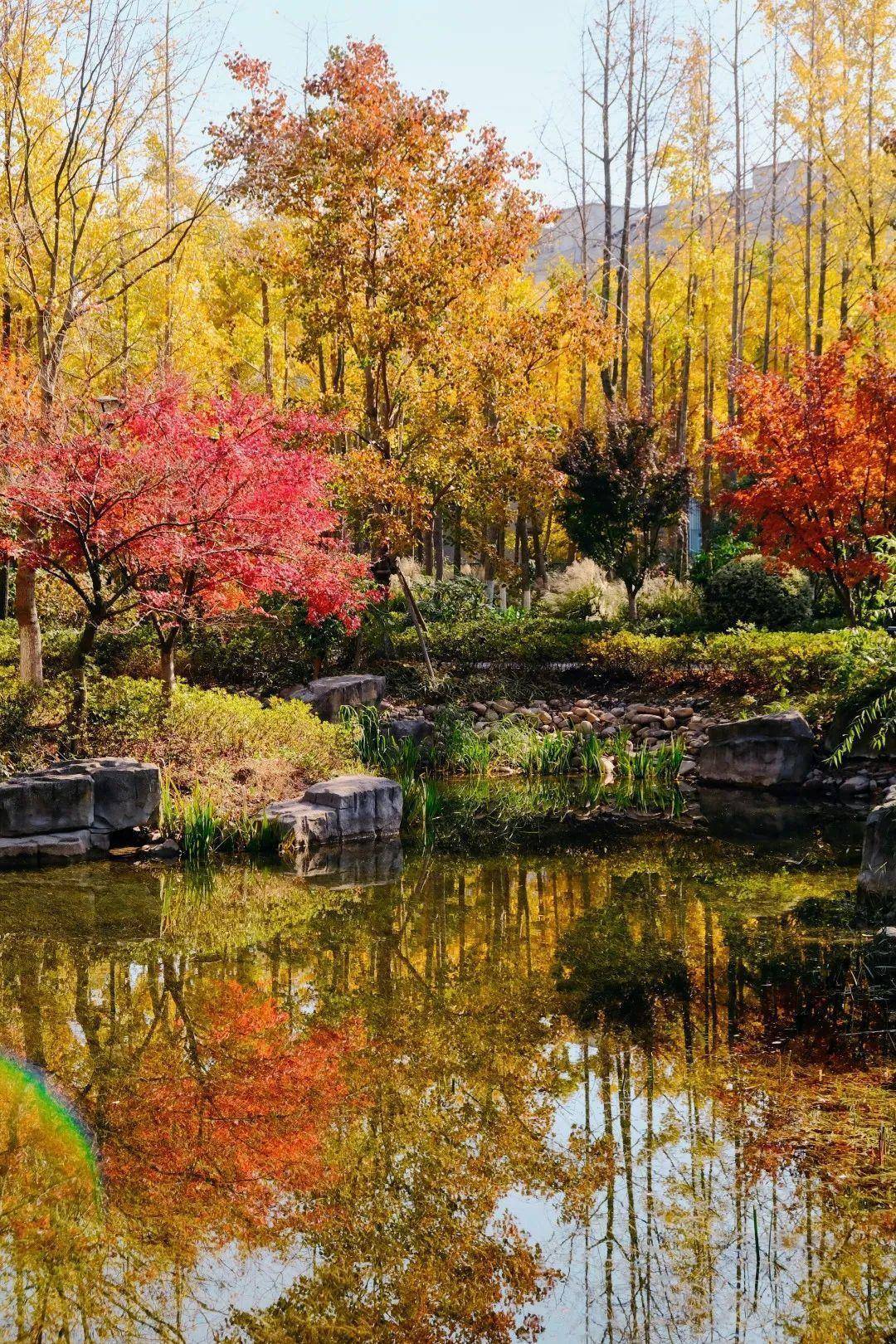 白果坪