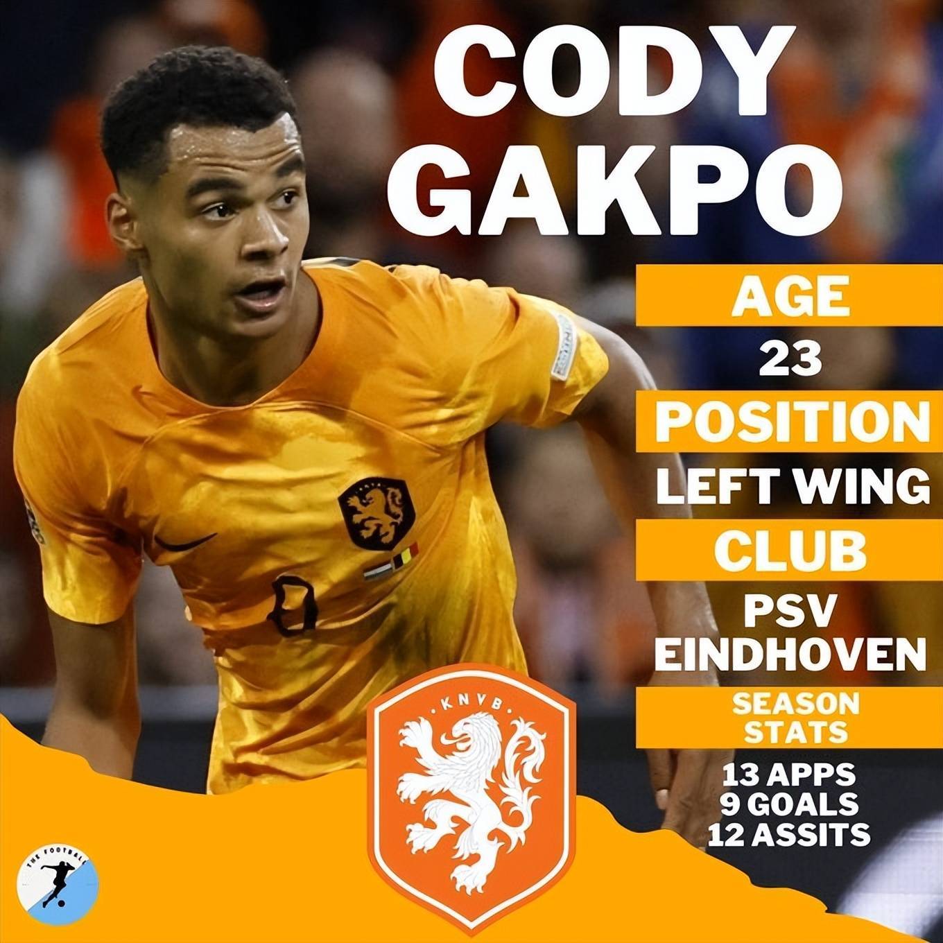 完成换血的"无冕之王"荷兰!_贾斯珀·西莱森_贾斯汀·比加洛_世界杯