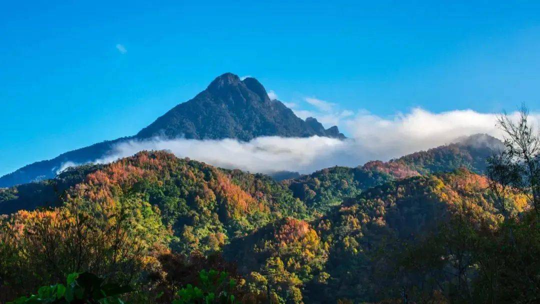 感受五指山热带雨林之美!_峡谷_海南_景区