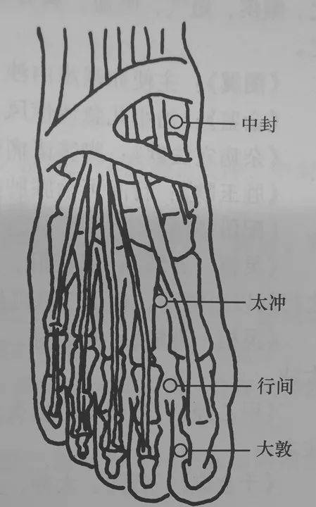 针灸调理嵌顿疝医案两则,取穴精简_治疗_任脉_睾丸