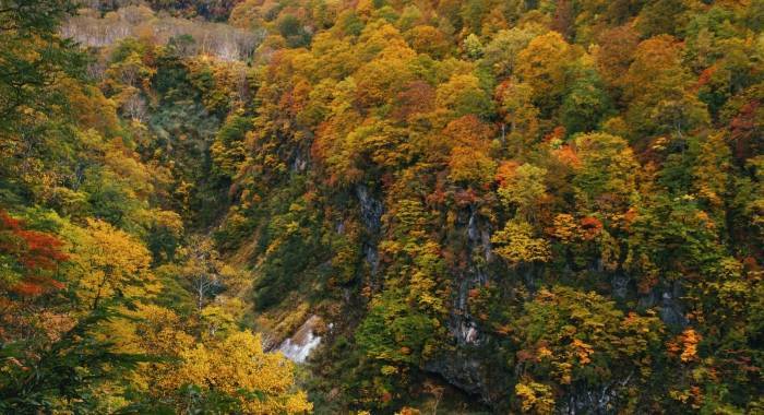 美的集团双11“全网第一”背后：用户体验价值时代来了！-家电圈官网