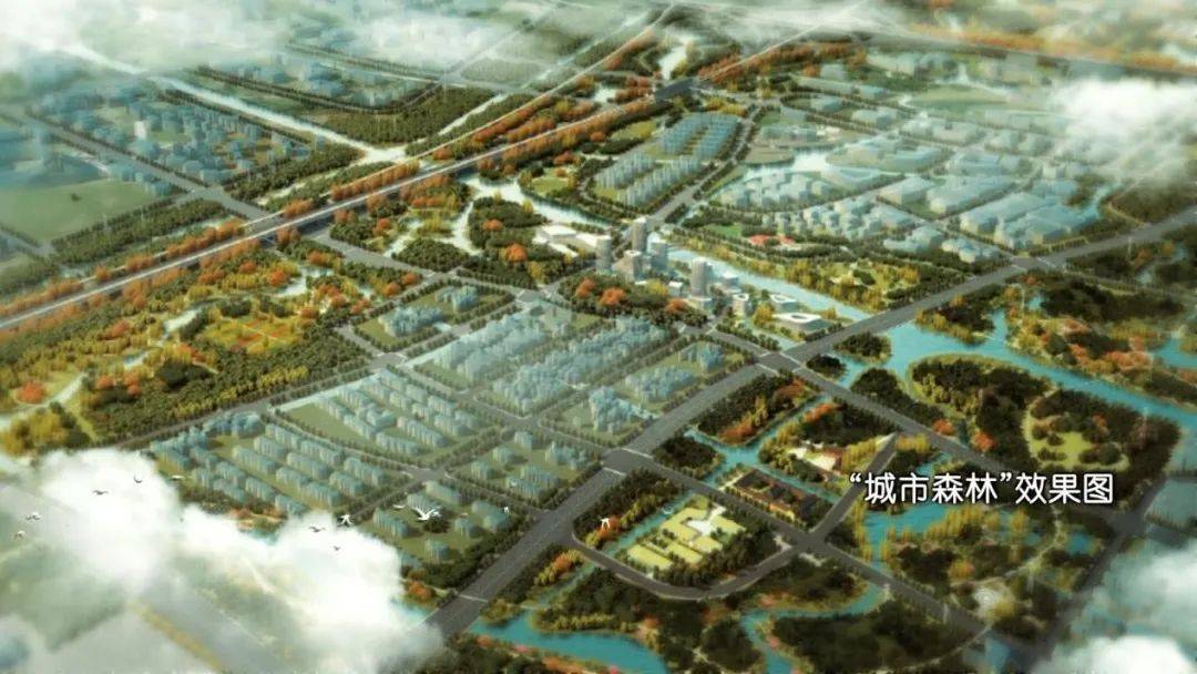 【学习贯彻党的二十大精神 引领区新征程】北蔡镇:打造“城市森林”,为“金色中环”添生态宜居底色_建设_管理_物业