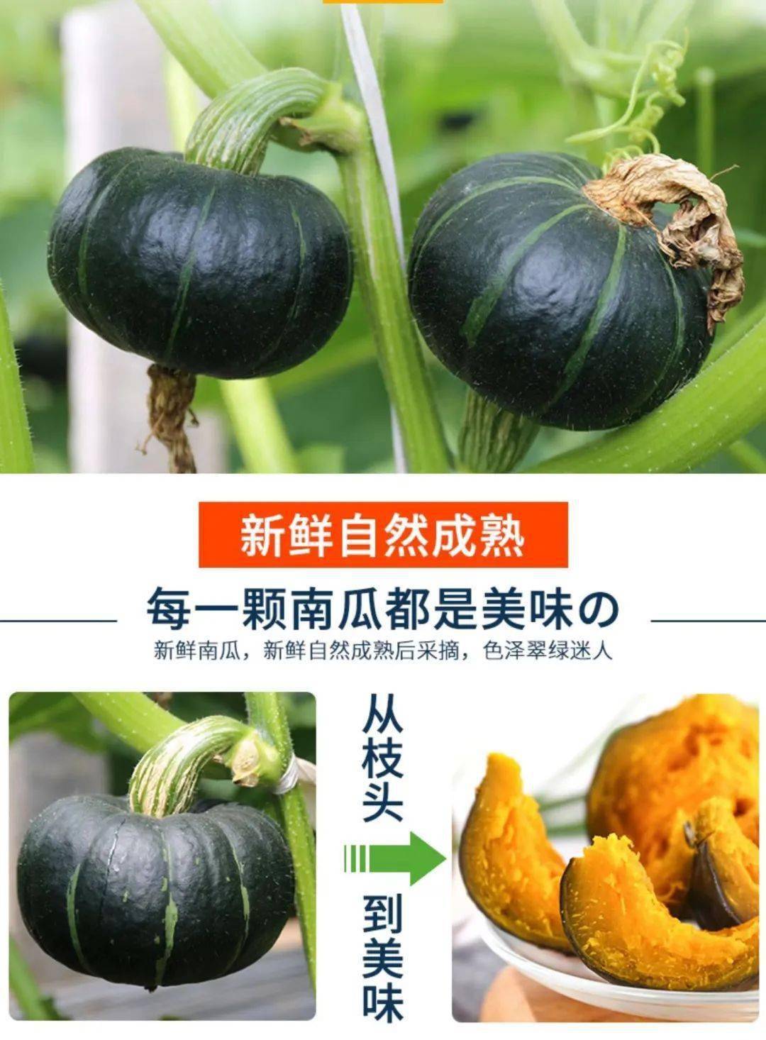 宝宝辅食推荐~正宗惠和一号贝贝南瓜!