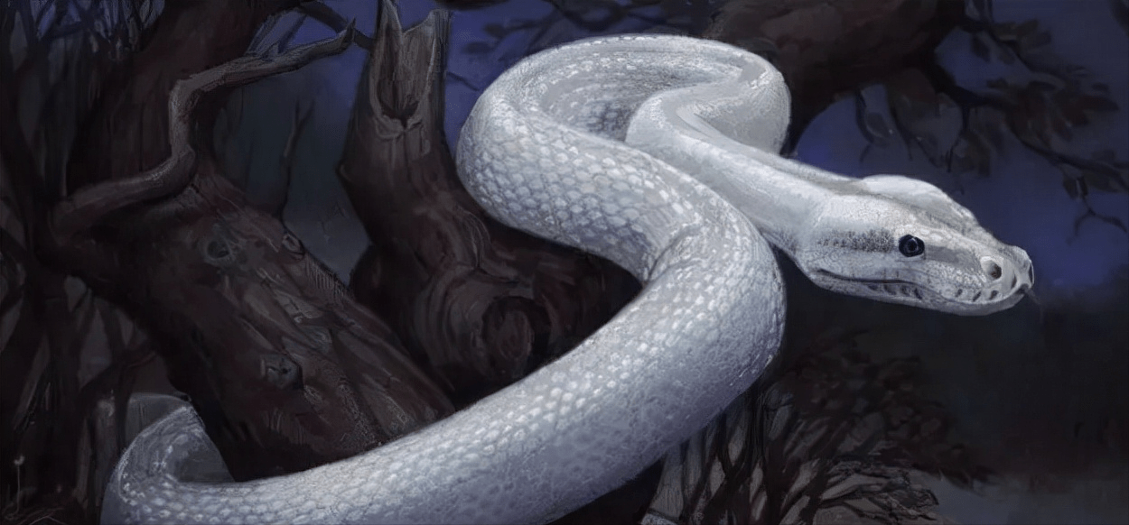 庞大的白蛇!谢公子几乎不相信自己的眼睛,那到底是什么样的存在?