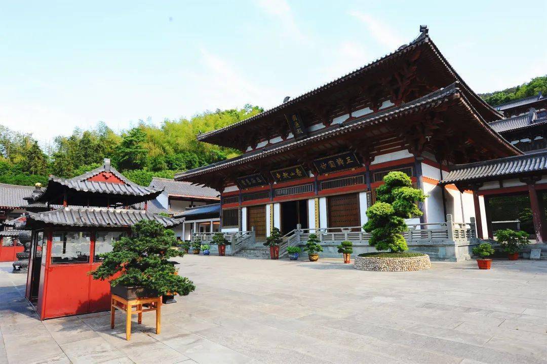 不负美景不负卿,九龙湖畔雅致情_宁波_养生_碧波