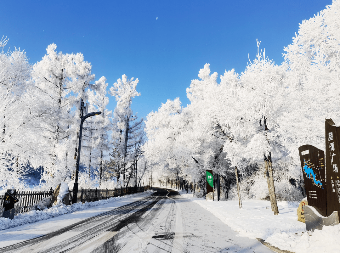 长春这个地方值得"打飞的"来玩!_净月潭_滑雪_冬日