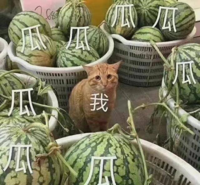 4月娱乐圈瓜田大丰收,个个不简单_钟丽缇_网友_生活