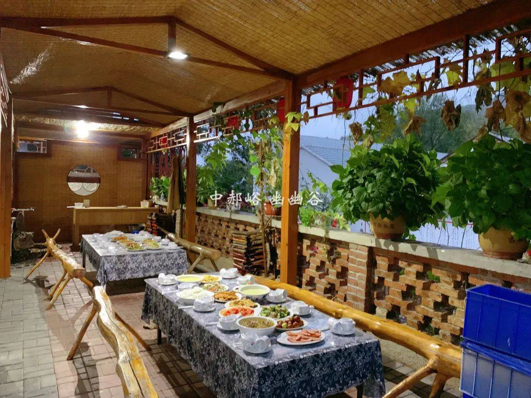 这里的幽幽谷风景区,占地2800余亩,地处鲁山主峰之阴,十里桃花溪之