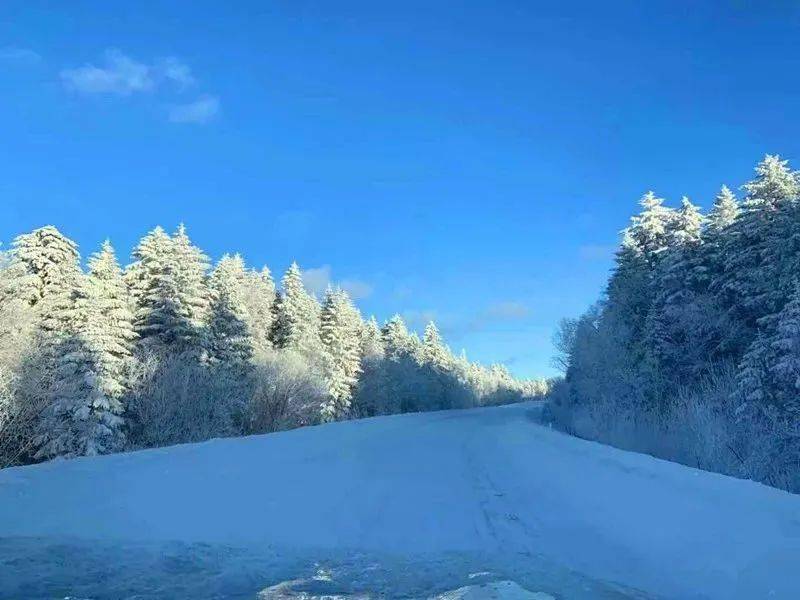 【向往的冬天在吉林】这里雪景超有氛围感,拍照一秒出大片!