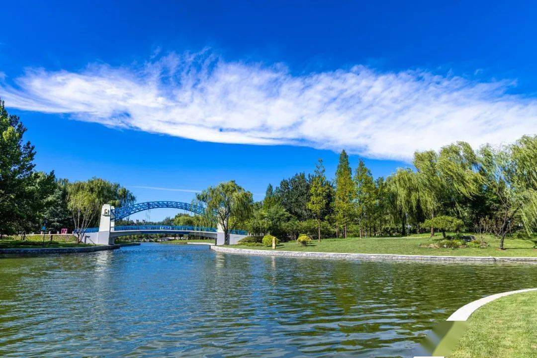 入围北京市优美河湖│朝阳区"四位选手"邀您投票~_黑桥_香河园街道