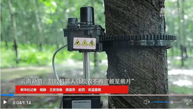 新华全媒+|在手机上操控“割橡胶”是什么体验?_割胶_机器人_陈刚