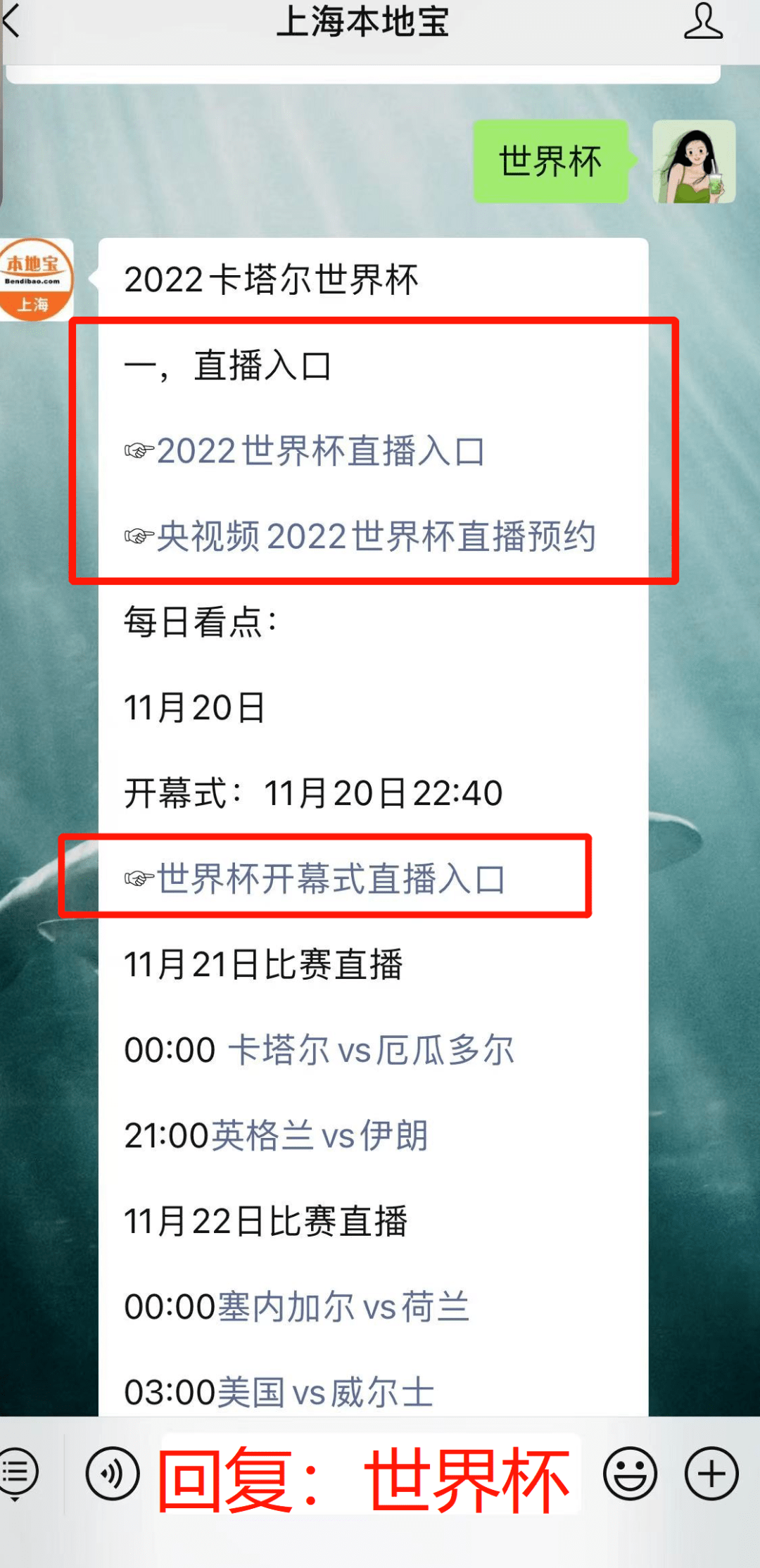 倒计时！2022年世界杯今晚开幕！直播入口→ 未分类 第2张