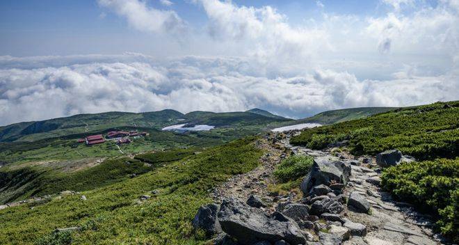 家电实体店经销商的痛苦与生机-家电圈官网