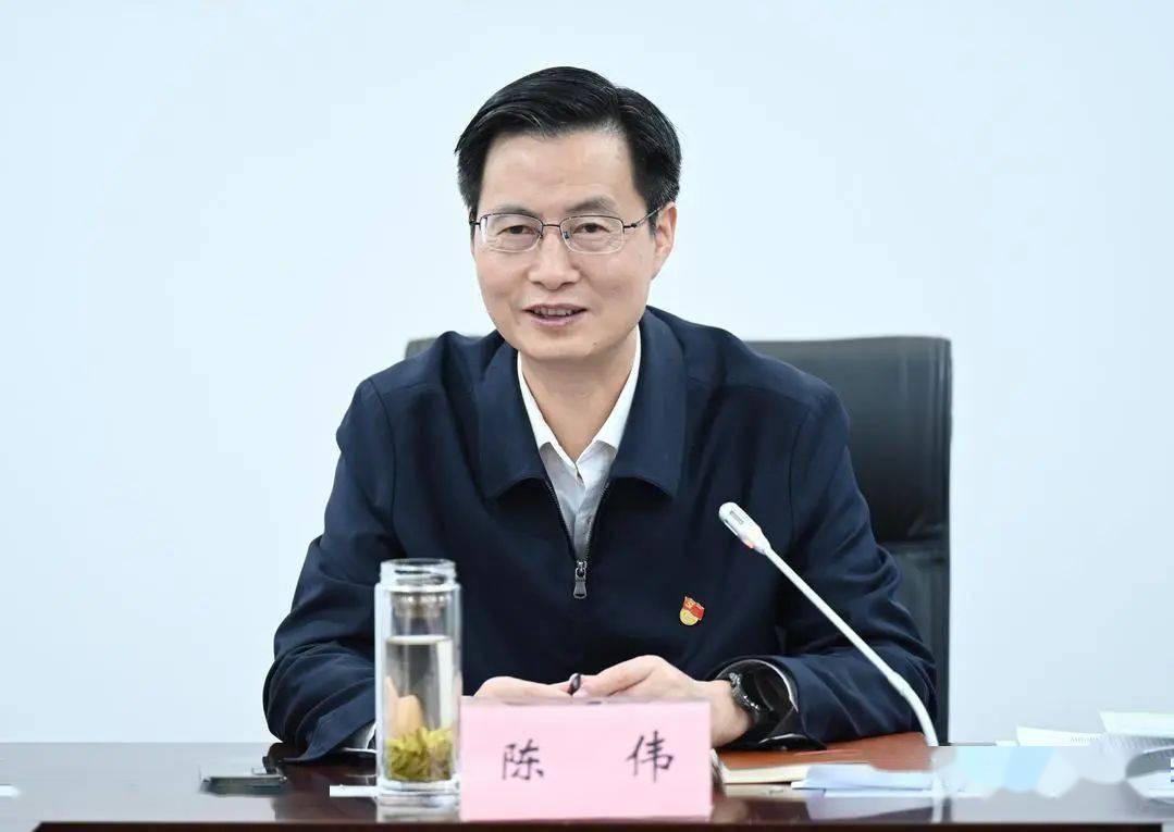 陈伟调研经信,商务工作:争先创优,扬长补短,更好服务长三角城市群重要