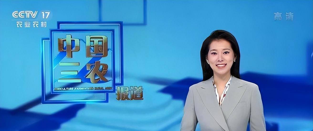 今夫妻俩双栖双飞入职央视,颜值实力太圈粉了_田靖华_孟语凡_卫视