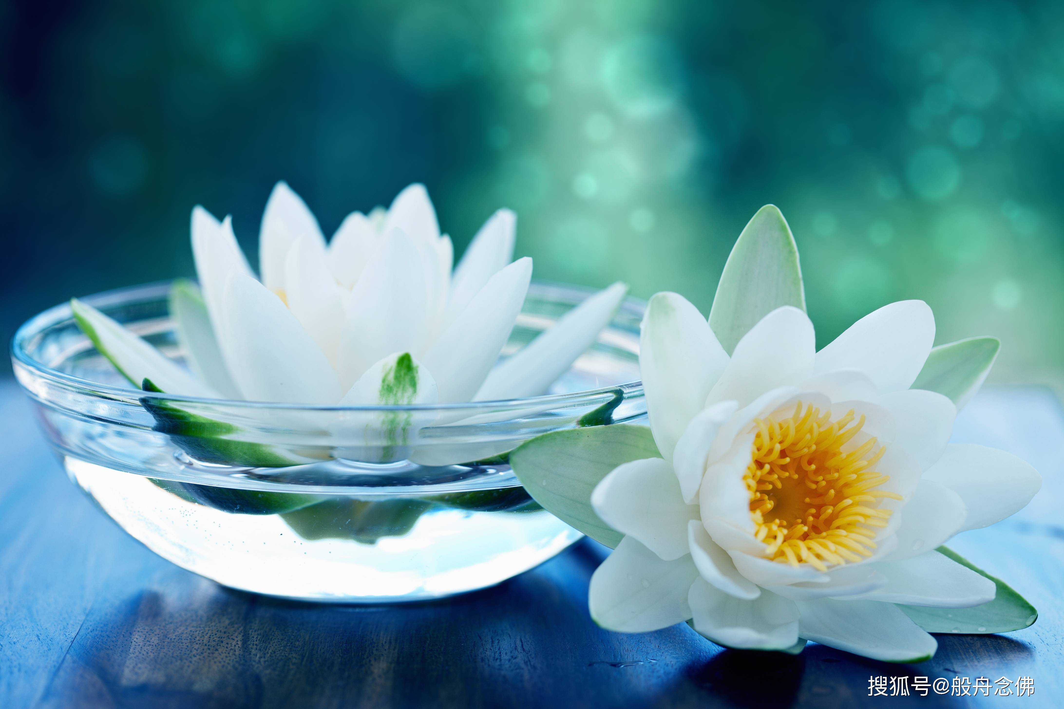 调柔心性,老实用功(一)——若真修道人,不见世间过.视众生如佛.