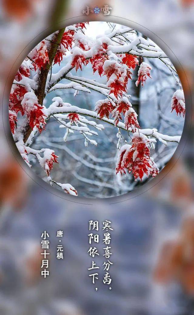 小雪節氣,祝福送到!_地區_時節_氣溫