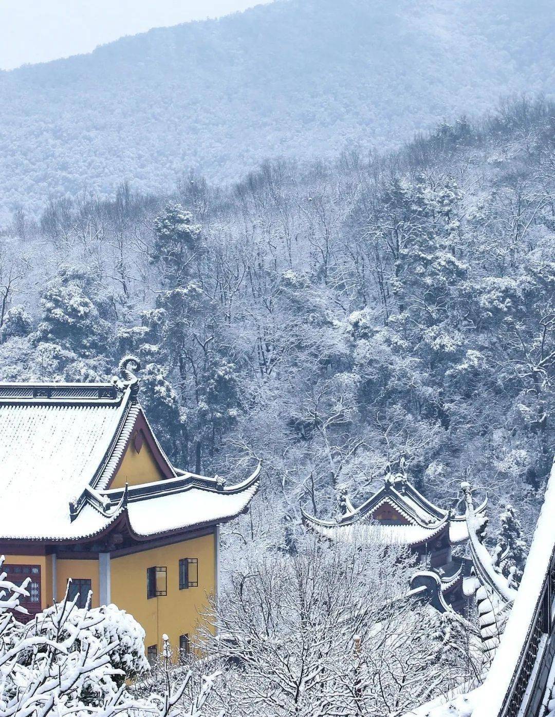 小雪