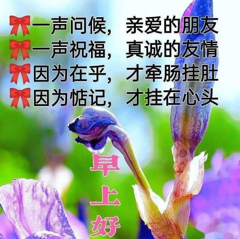 最新版问候大家的表情图片 最美早安祝福动画表情图