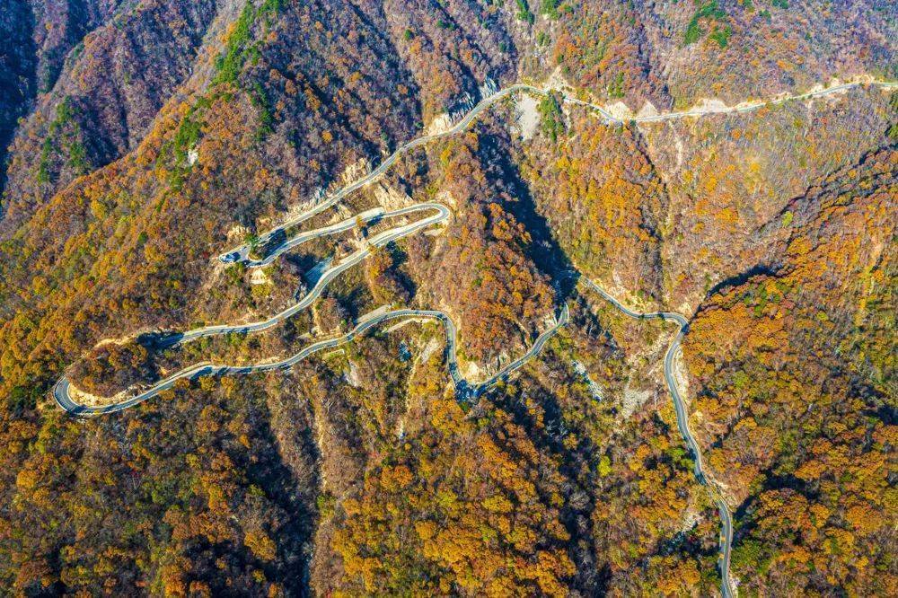 摄影师镜头下的马鬃岭之秋_秋色_盘山公路_景区