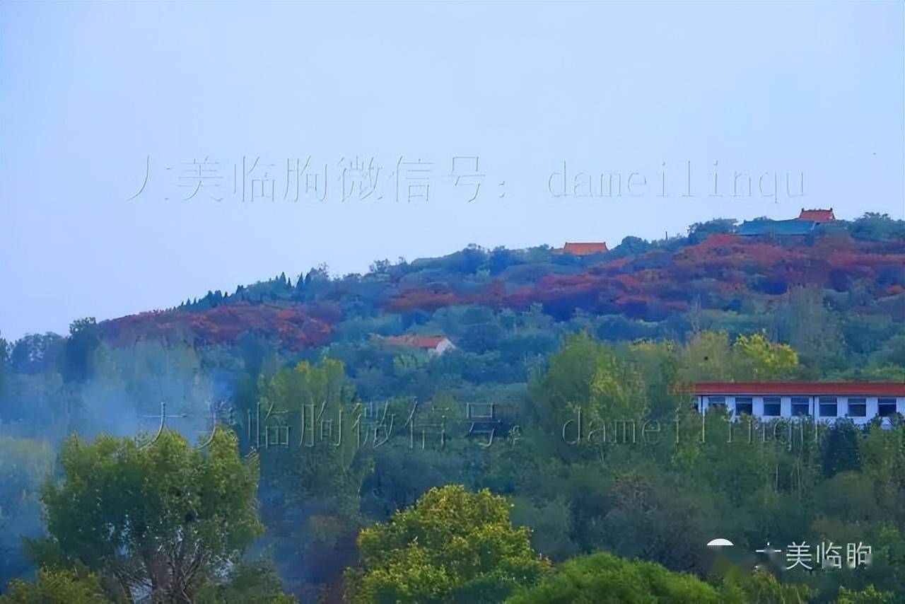 临朐有个海浮山_下图_老龙湾_墓葬