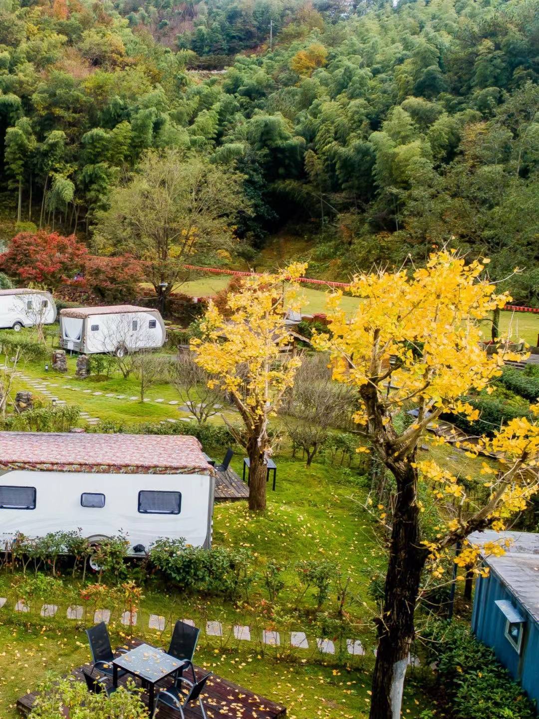 夏天不能錯過溪流,就像秋天不能錯過落葉一樣_銀杏_北溪村_四明山鎮