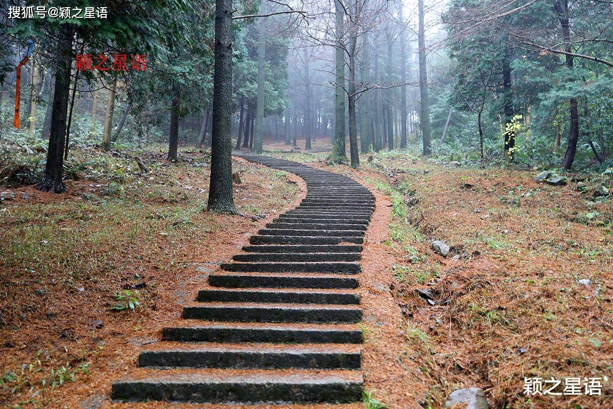 宁波有座奇特的山,第八条黄金古道,西坡美在春,东坡美在秋_峨山_奉化