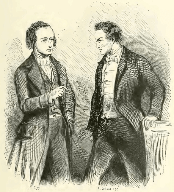 a thick clump of trees and s