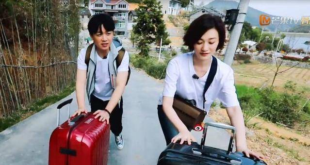 李小冉变身洗碗妹,何炅夸她很勤劳,潘粤明却发现了问题,超呆萌_李诞