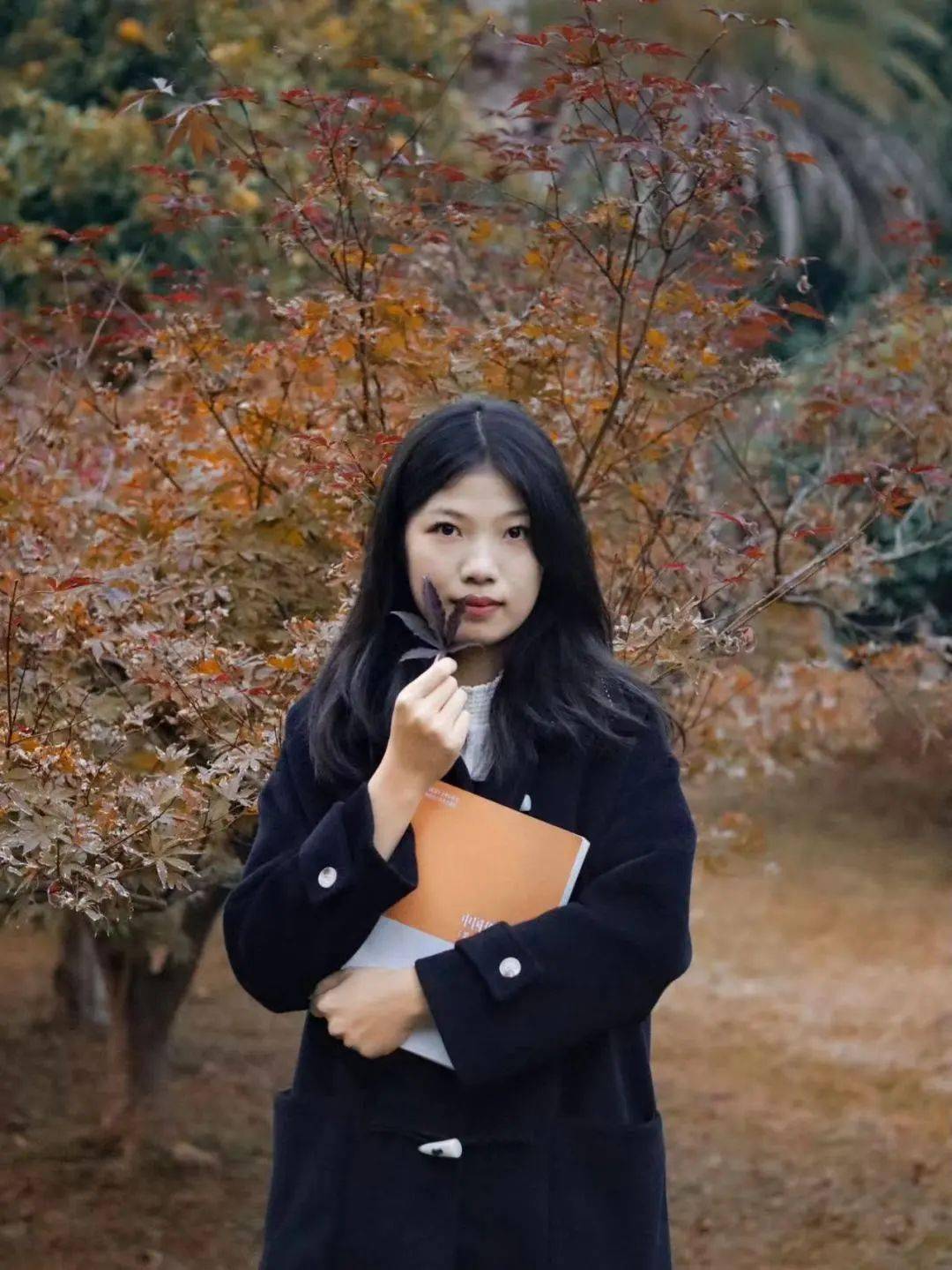 左划,一键get十一月限定plog_图片_冬日_倪玲