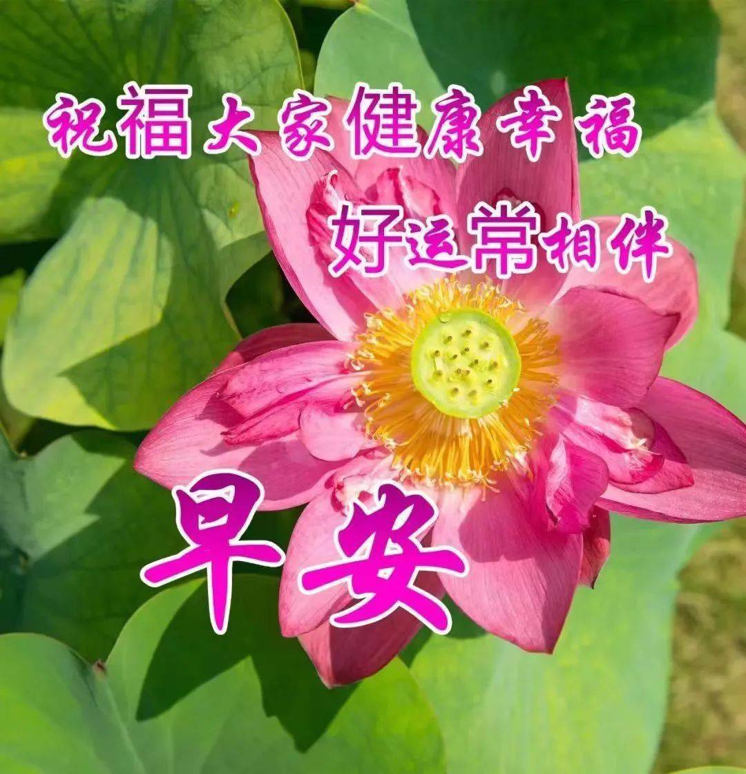祝福_友情_平安