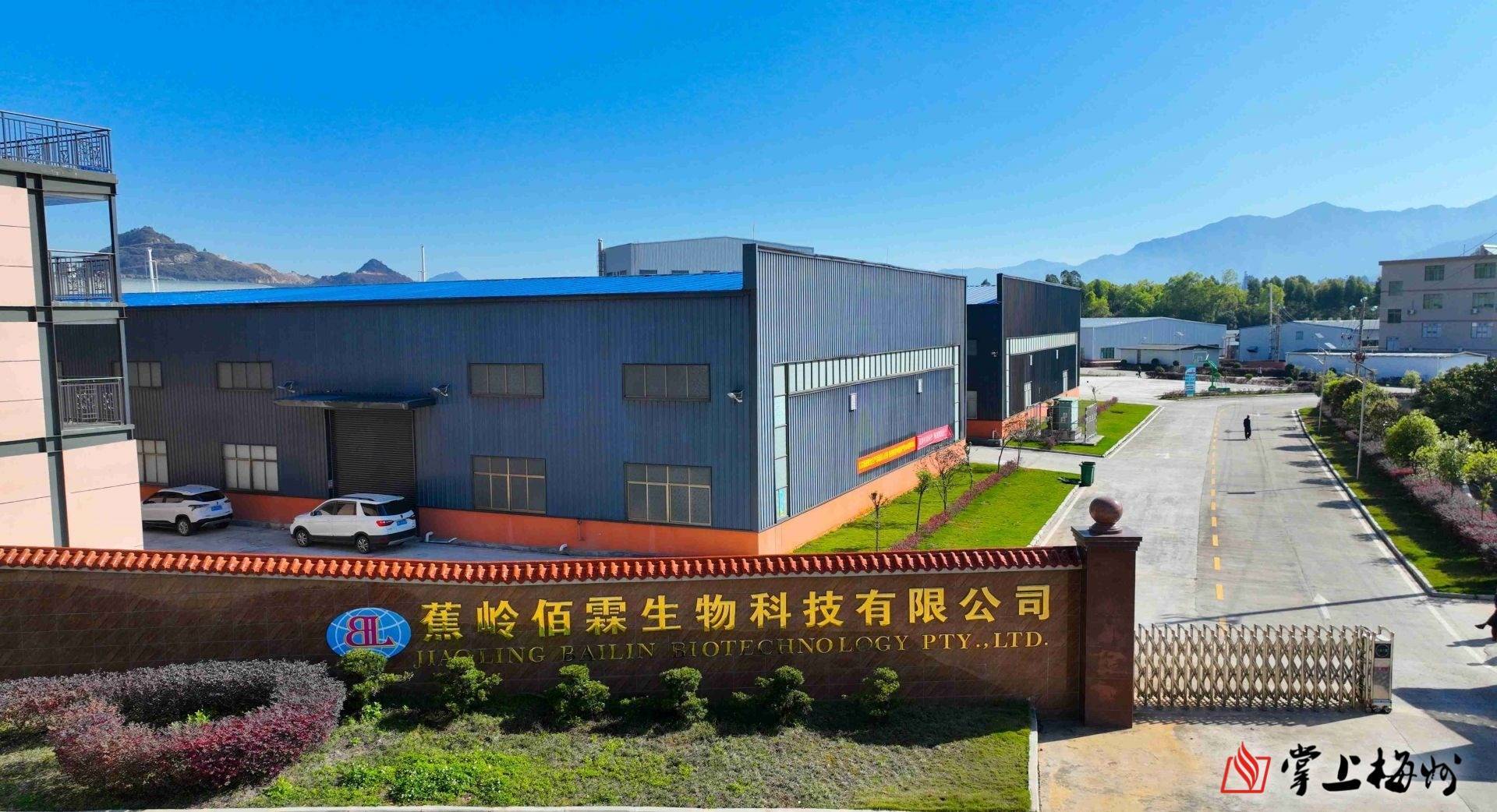 蕉岭网站建设_蕉岭县城区建设