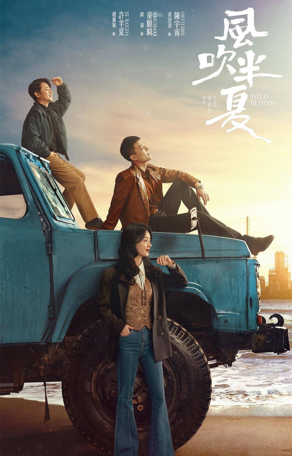 风吹半夏免费观看完整版高清电视剧_国产商战剧_女性创业剧