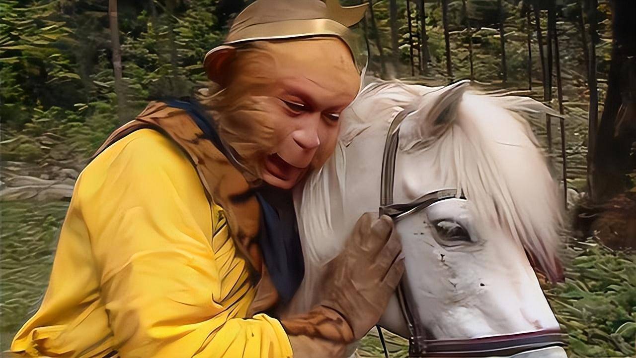 《西游记》的成功,也有小白马的功劳,它跟随剧组走遍了大江南北,贡献