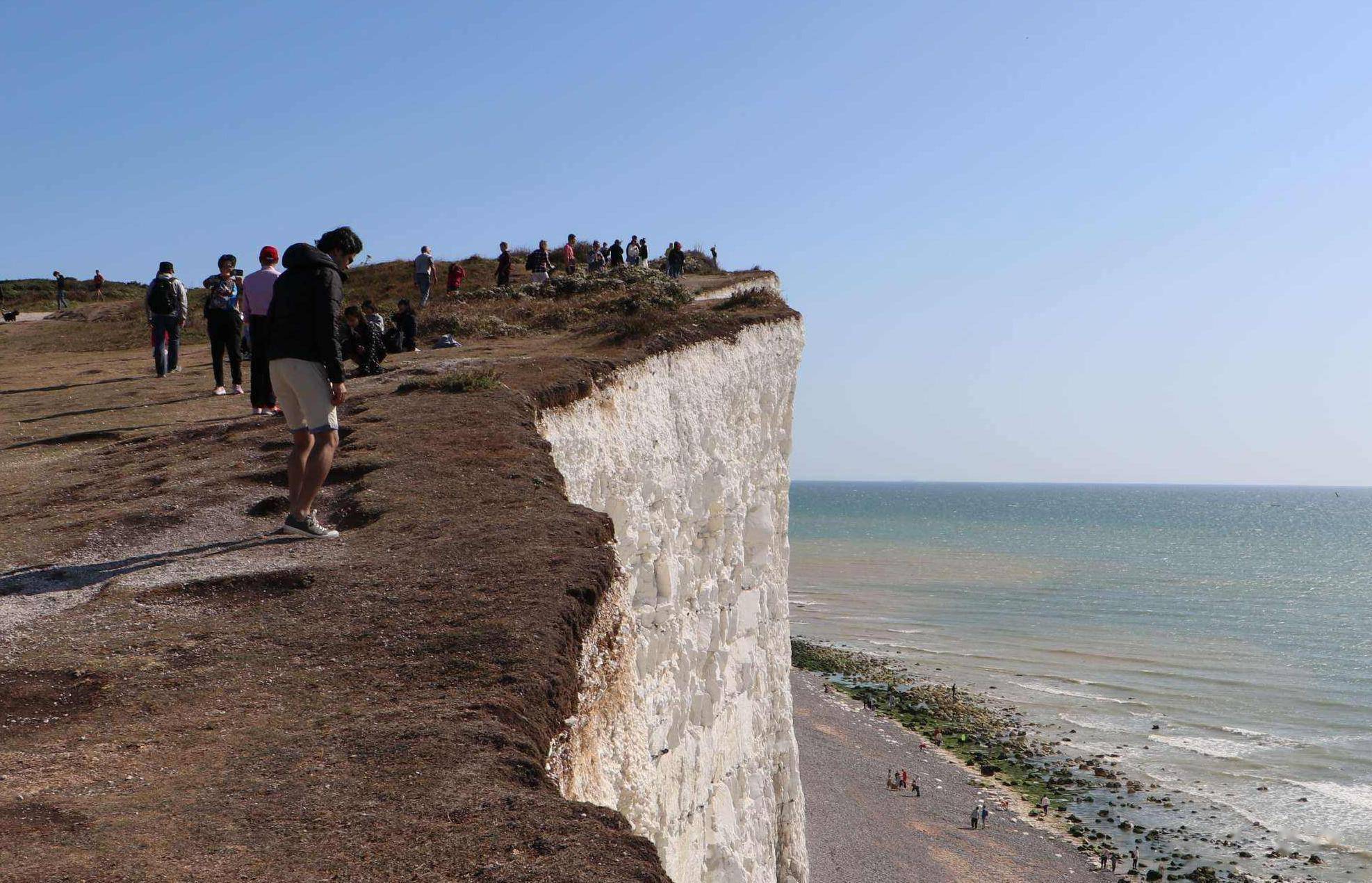 说文解字》第651课：成语“马首是瞻”的“瞻”是什么意思？_搜狐网